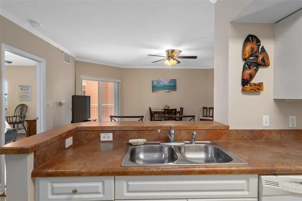 4516 Seagull Drive New Port Richey FL 34652