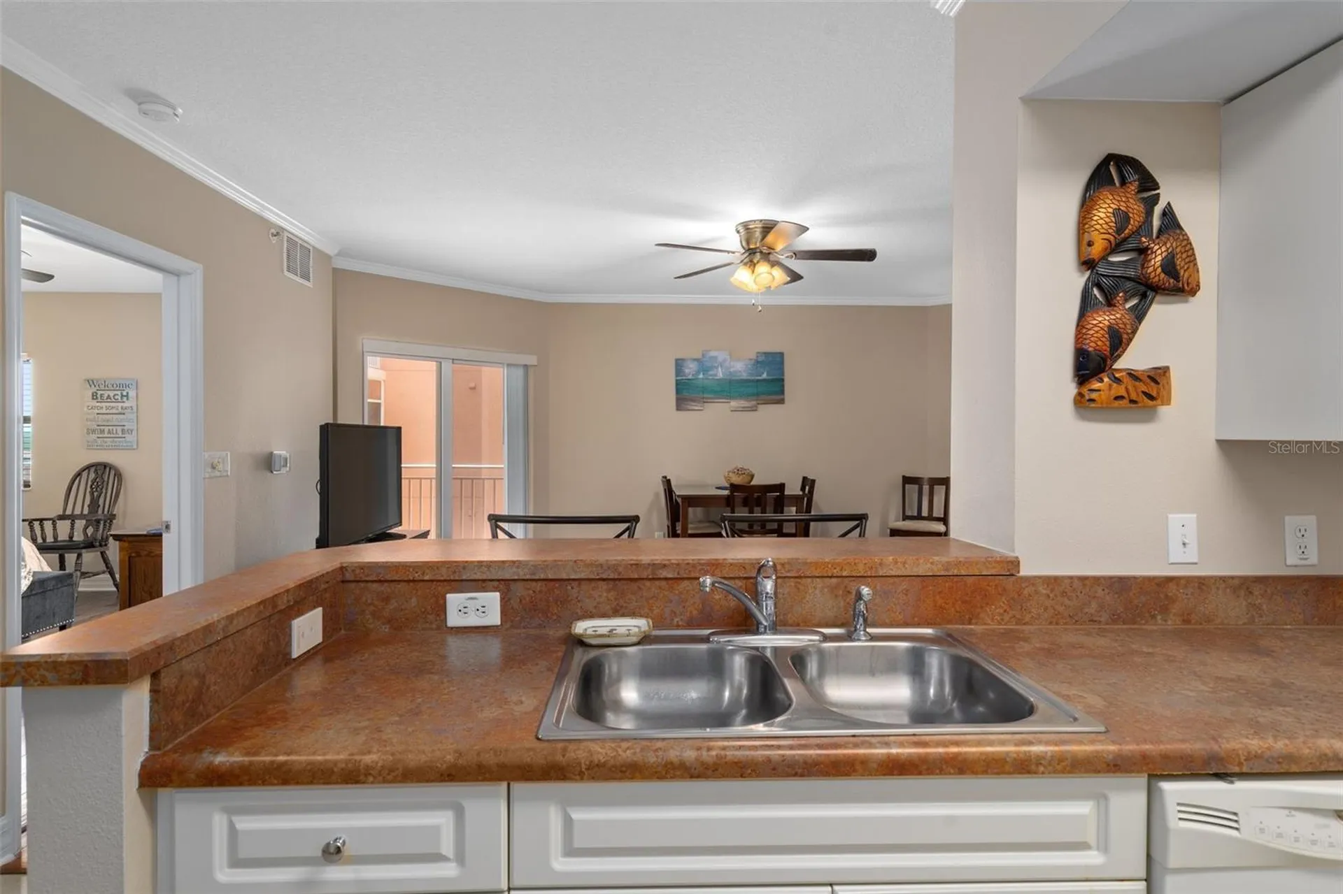 4516 Seagull Drive New Port Richey FL 34652