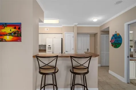 4516 Seagull Drive New Port Richey FL 34652