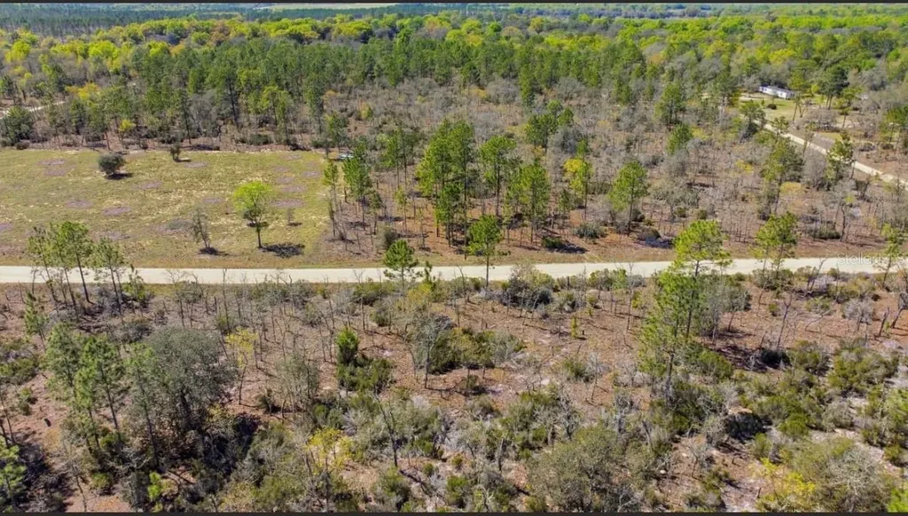 NE 150th Avenue Williston FL 32696