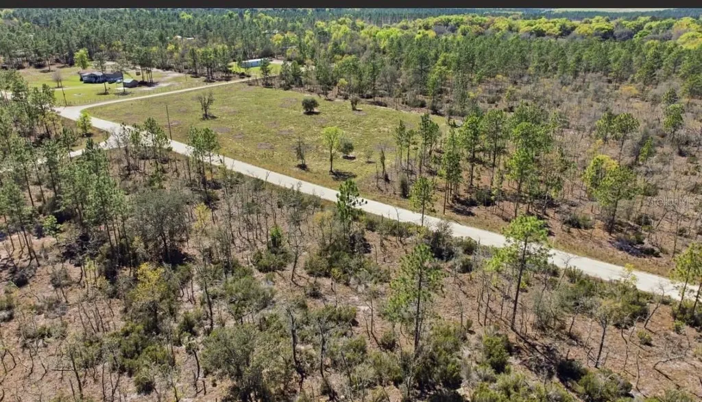 NE 150th Avenue Williston FL 32696