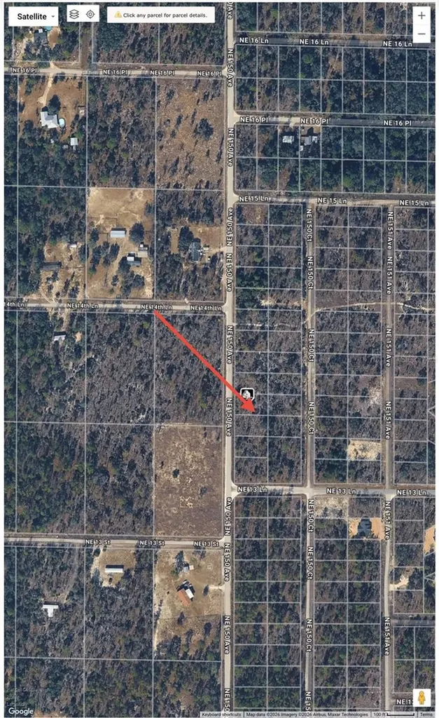 NE 150th Avenue Williston FL 32696