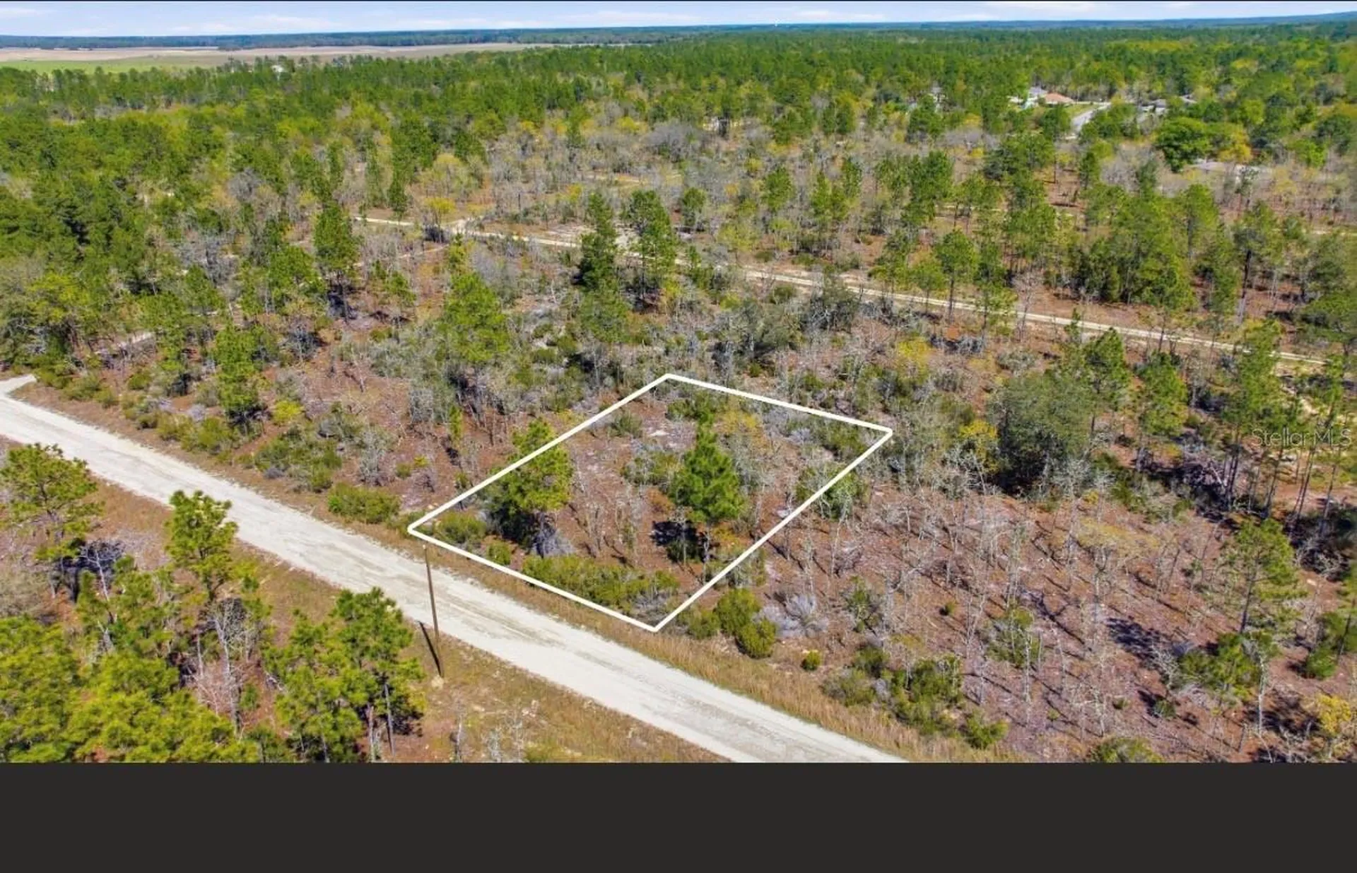 NE 150th Avenue Williston FL 32696