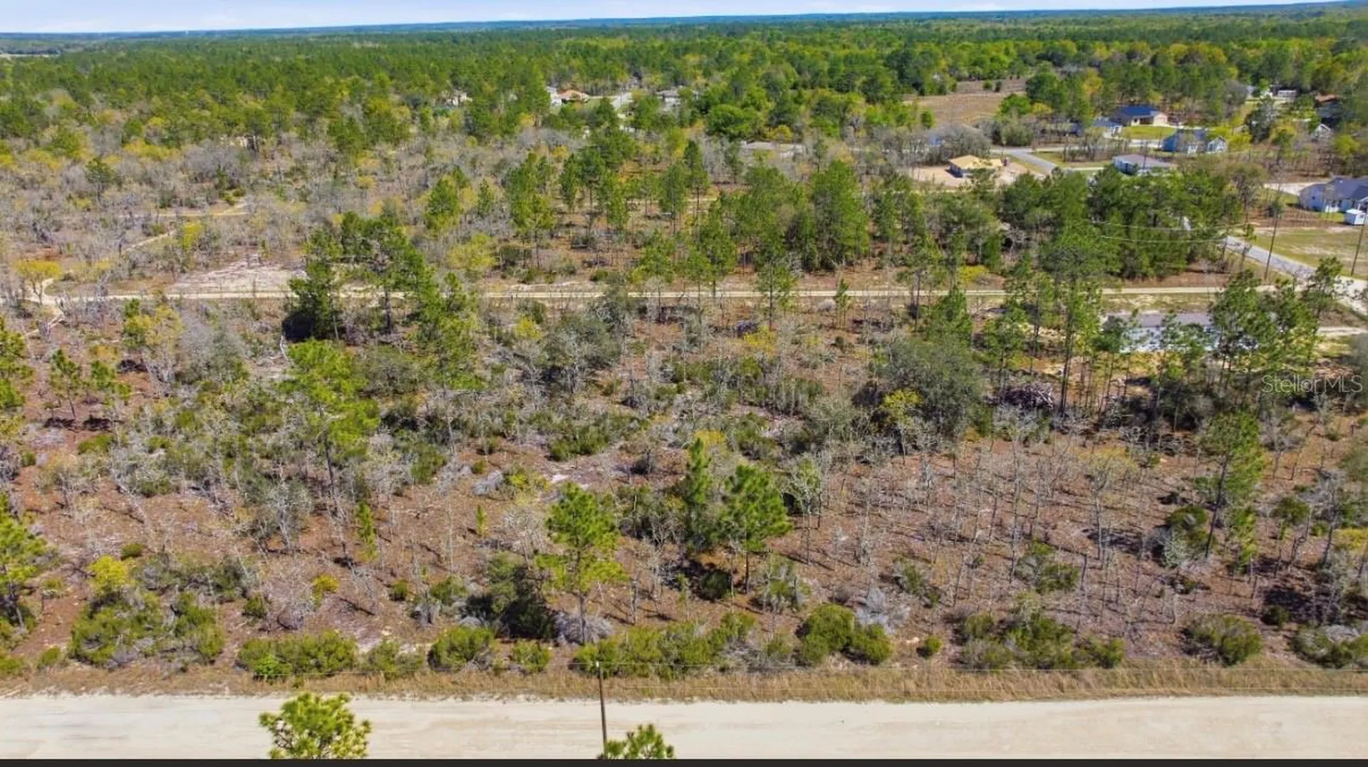 NE 150th Avenue Williston FL 32696