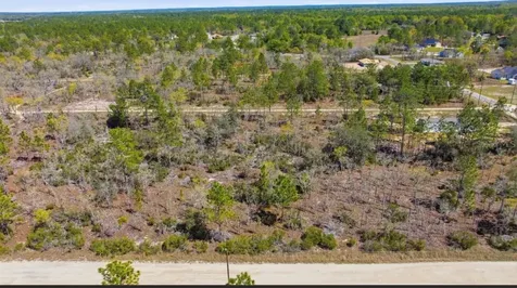 NE 150th Avenue Williston FL 32696