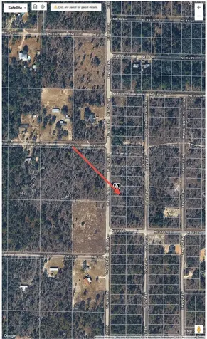 NE 150th Avenue Williston FL 32696