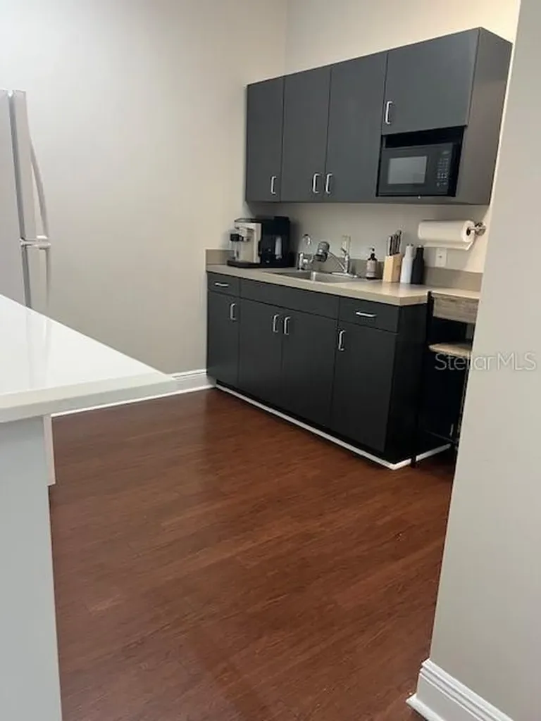 16540 Pointe Village Drive Lutz FL 33558