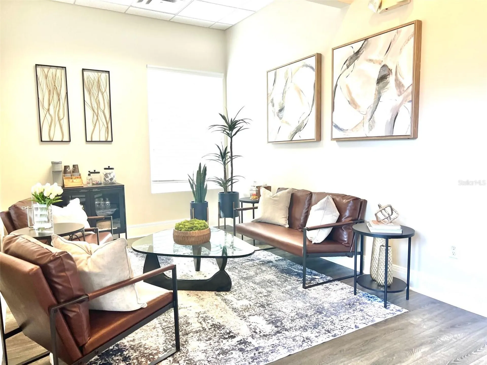 1550 W Cleveland Street Tampa FL 33606