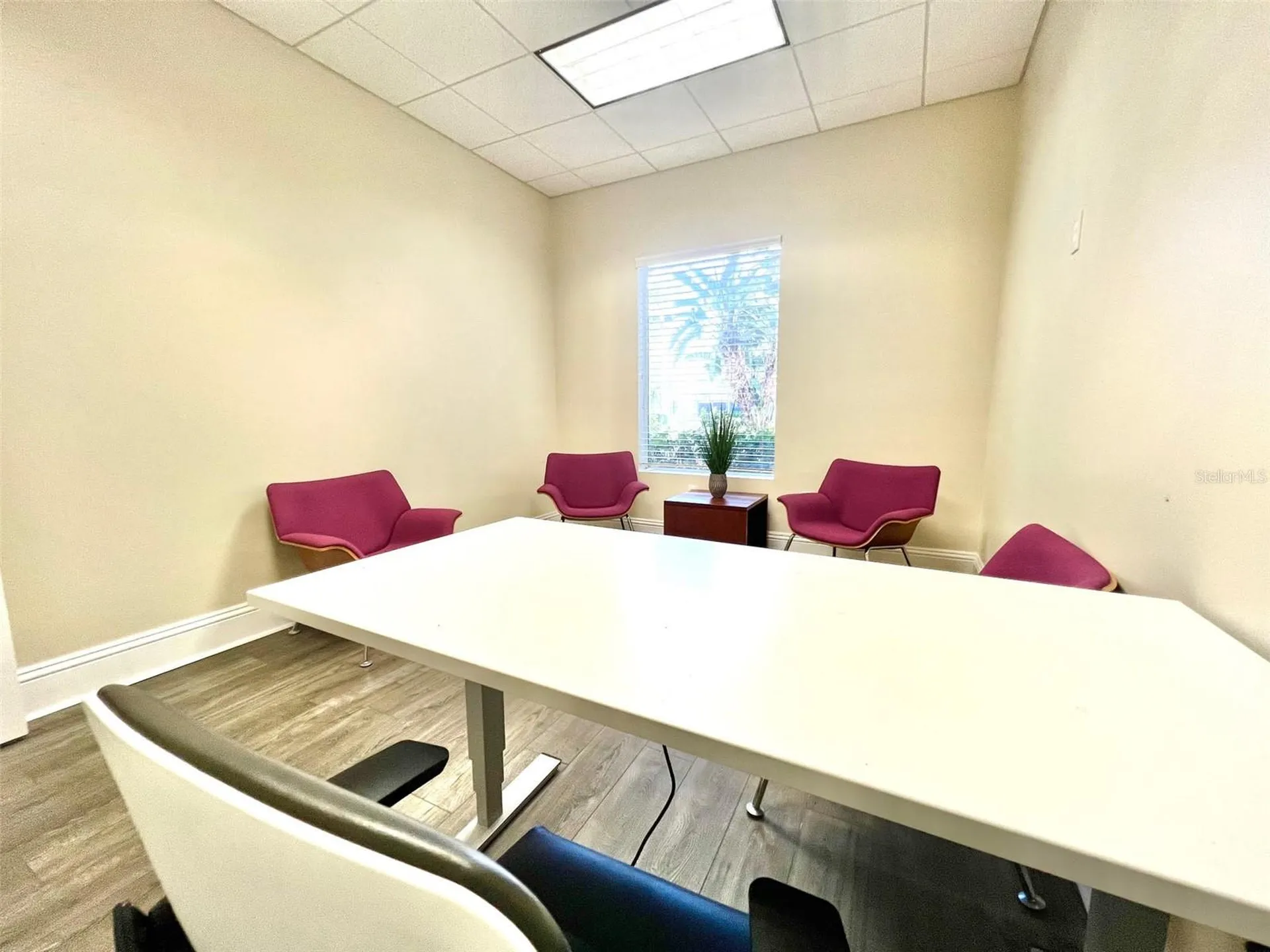 1550 W Cleveland Street Tampa FL 33606
