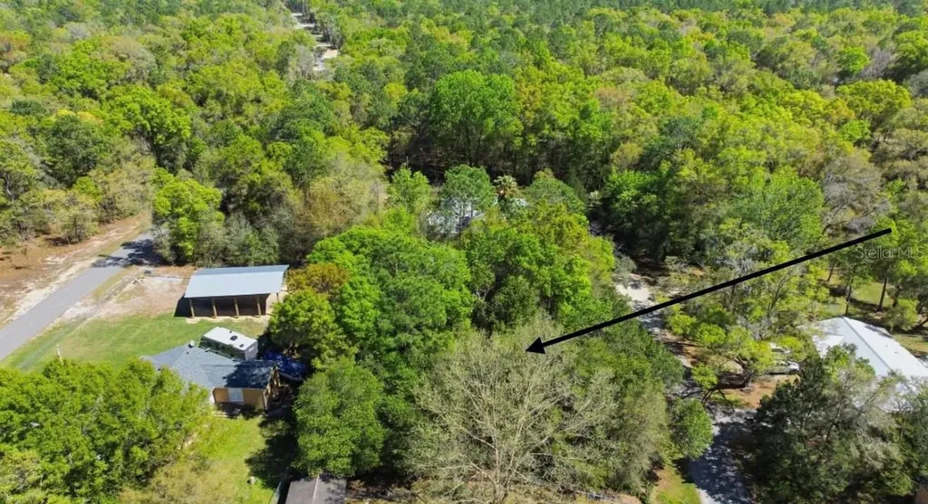 NE 4th Lane Williston FL 32696