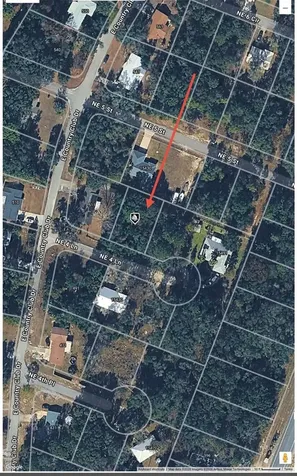 NE 4th Lane Williston FL 32696