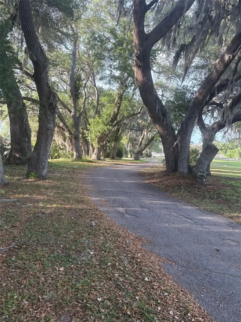 9980 SE 176th Street Summerfield FL 34491