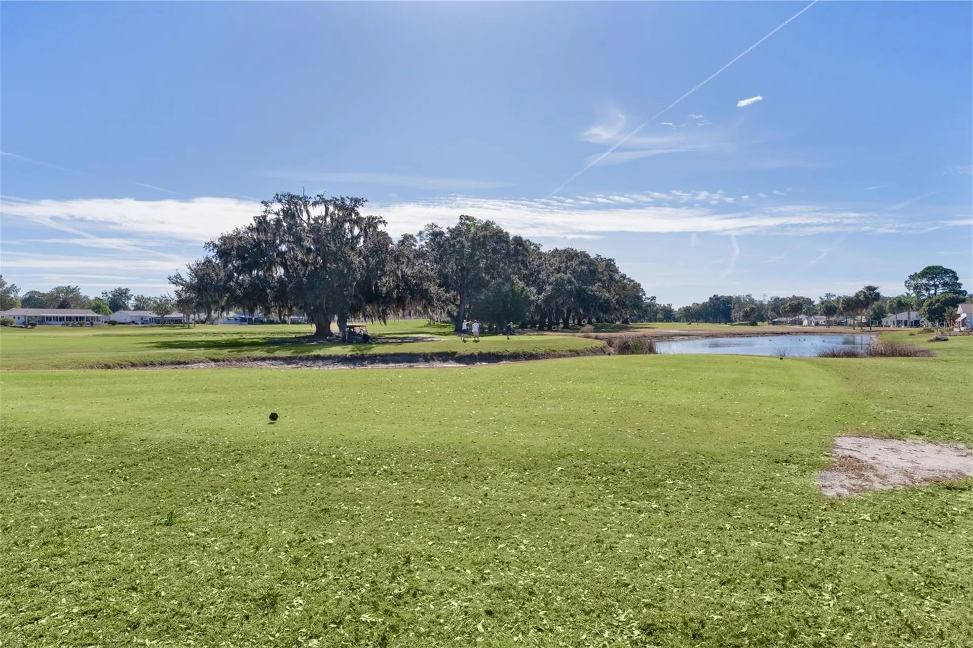 9980 SE 176th Street Summerfield FL 34491