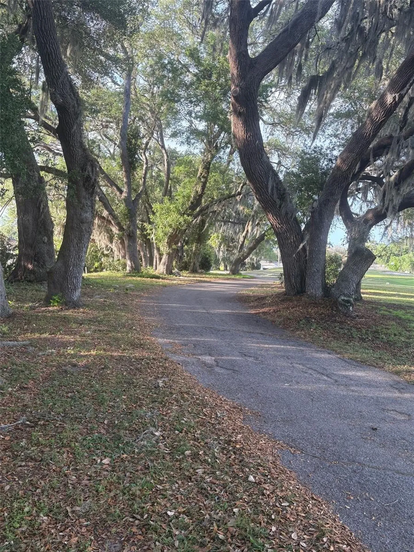9980 SE 176th Street Summerfield FL 34491