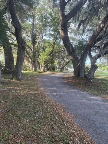 9980 SE 176th Street Summerfield FL 34491