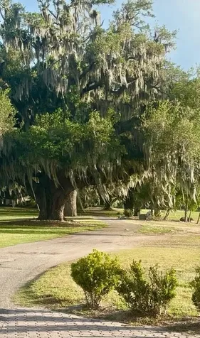 9980 SE 176th Street Summerfield FL 34491