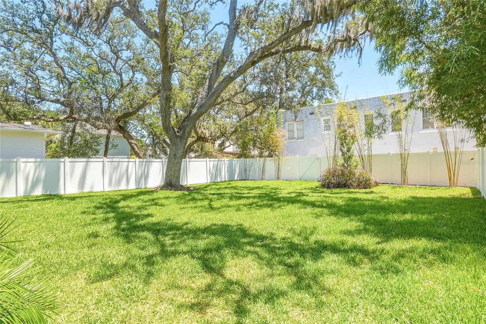 814 W Amelia Avenue Tampa FL 33602