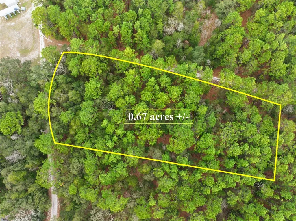 SW 36th Loop Dunnellon FL 34432