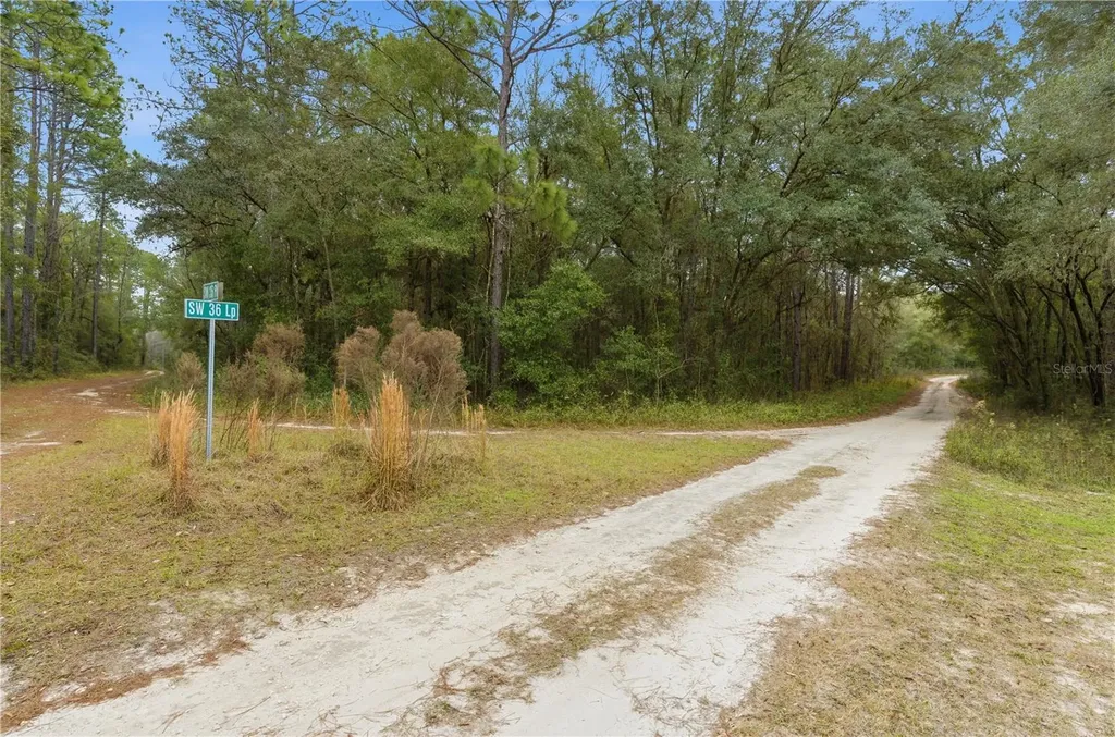 SW 36th Loop Dunnellon FL 34432