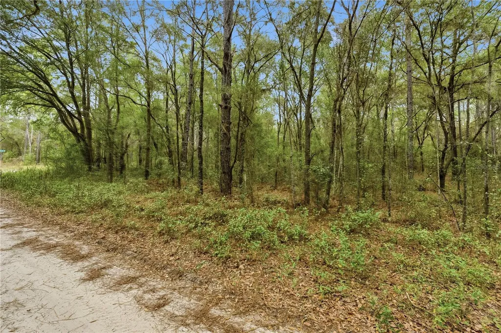 SW 36th Loop Dunnellon FL 34432