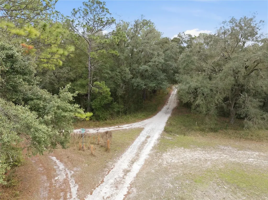 SW 36th Loop Dunnellon FL 34432