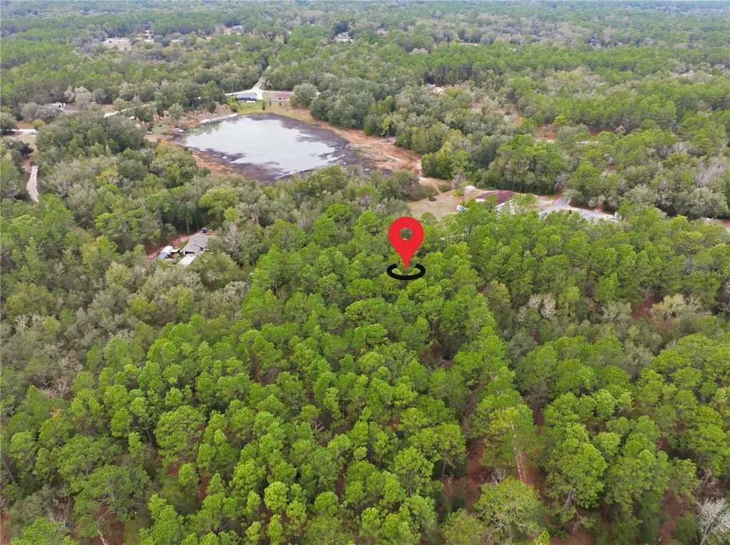 SW 36th Loop Dunnellon FL 34432