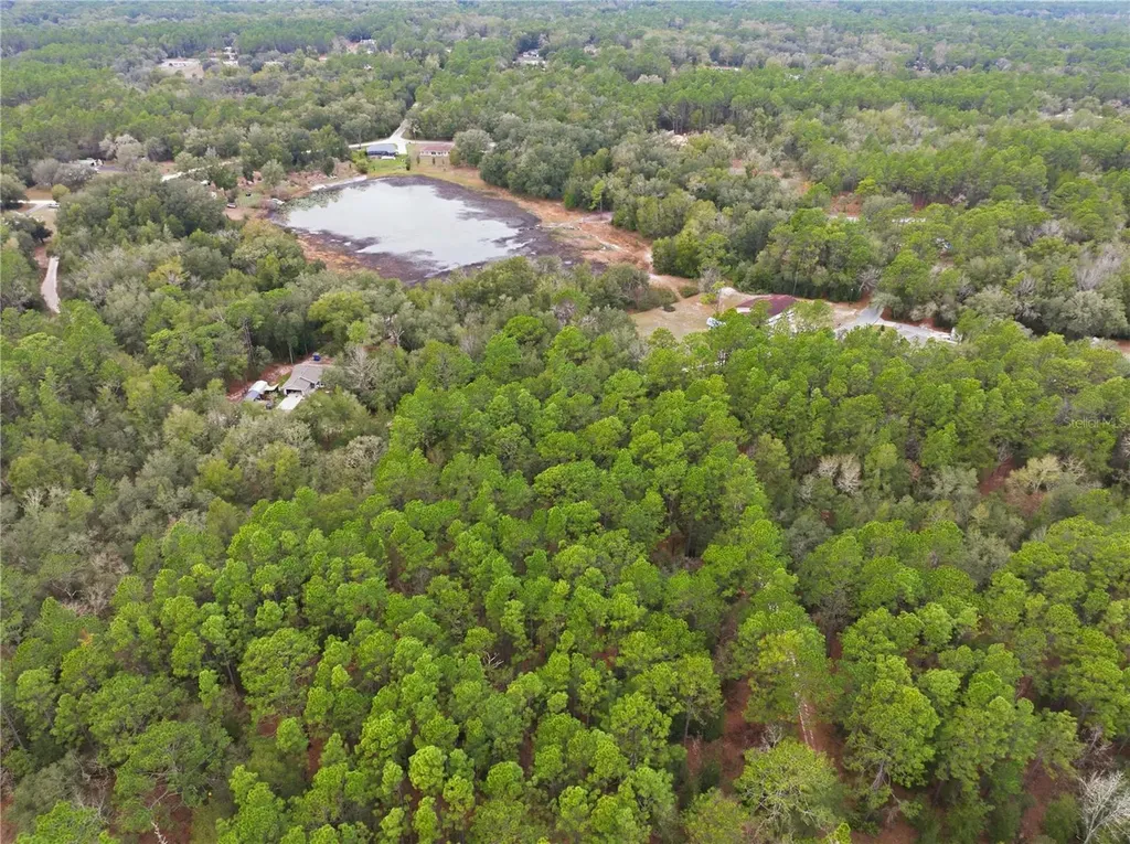 SW 36th Loop Dunnellon FL 34432