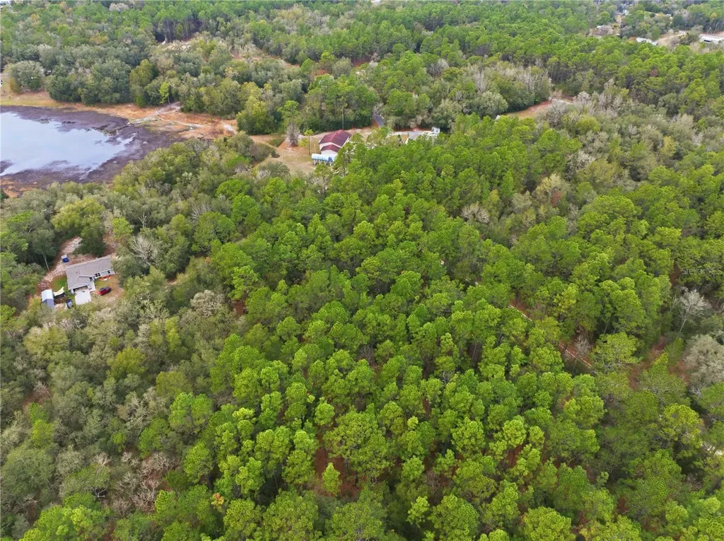 SW 36th Loop Dunnellon FL 34432