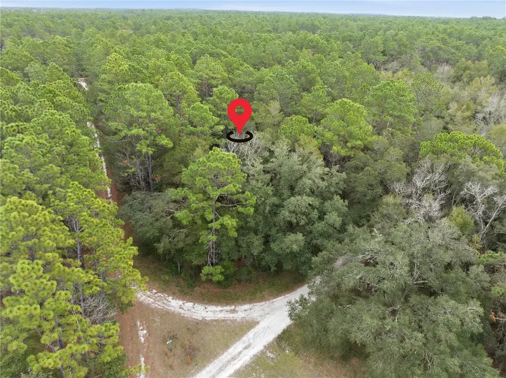 SW 36th Loop Dunnellon FL 34432