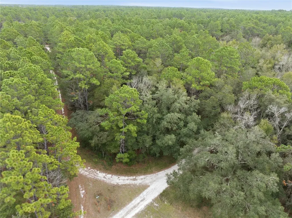 SW 36th Loop Dunnellon FL 34432