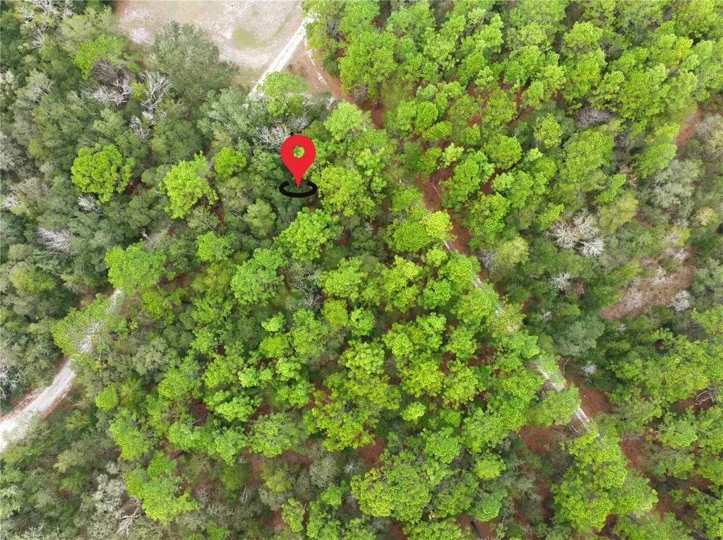 SW 36th Loop Dunnellon FL 34432