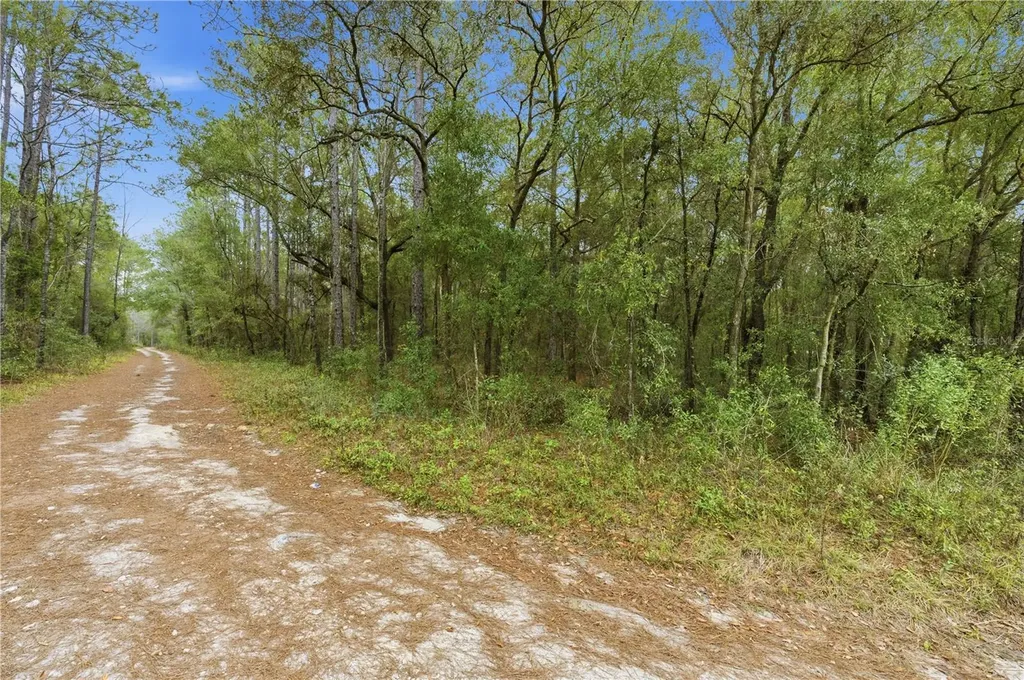 SW 36th Loop Dunnellon FL 34432