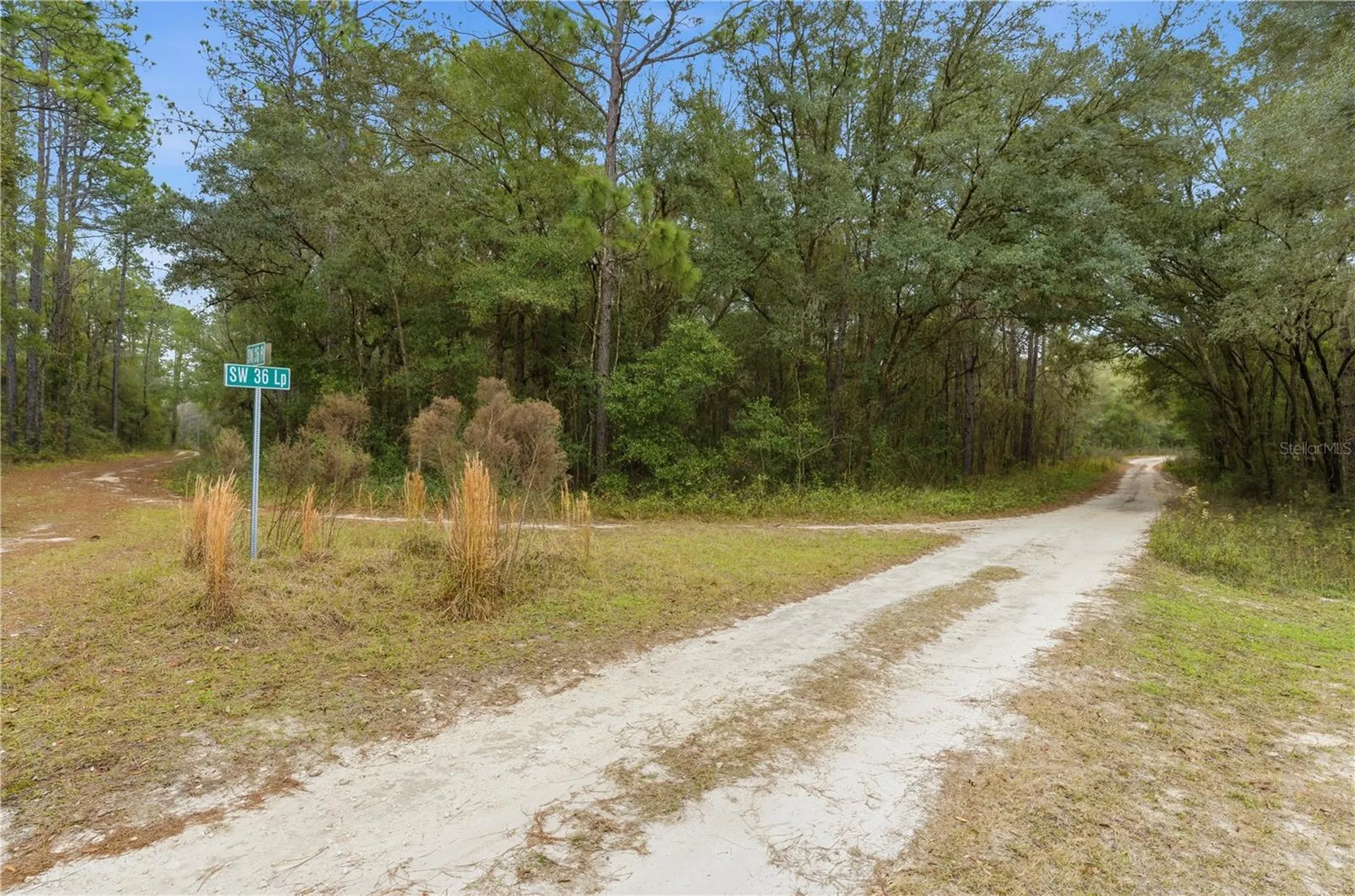 SW 36th Loop Dunnellon FL 34432