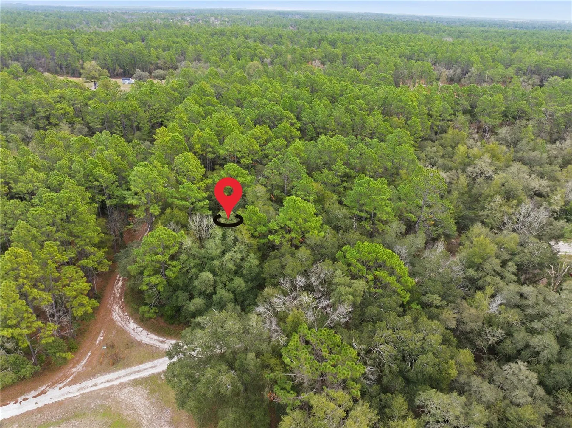 SW 36th Loop Dunnellon FL 34432