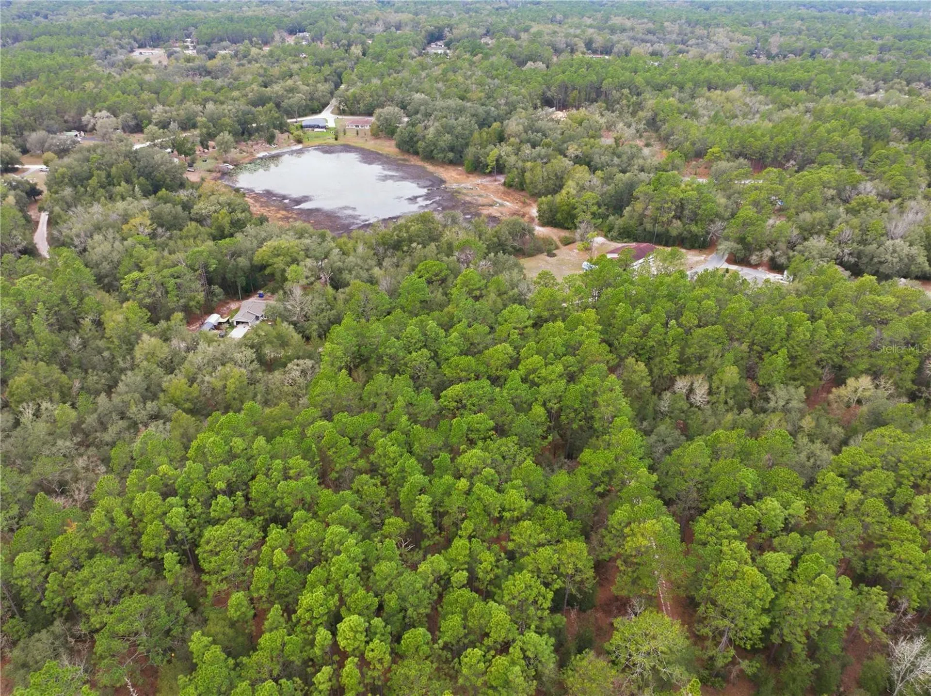 SW 36th Loop Dunnellon FL 34432