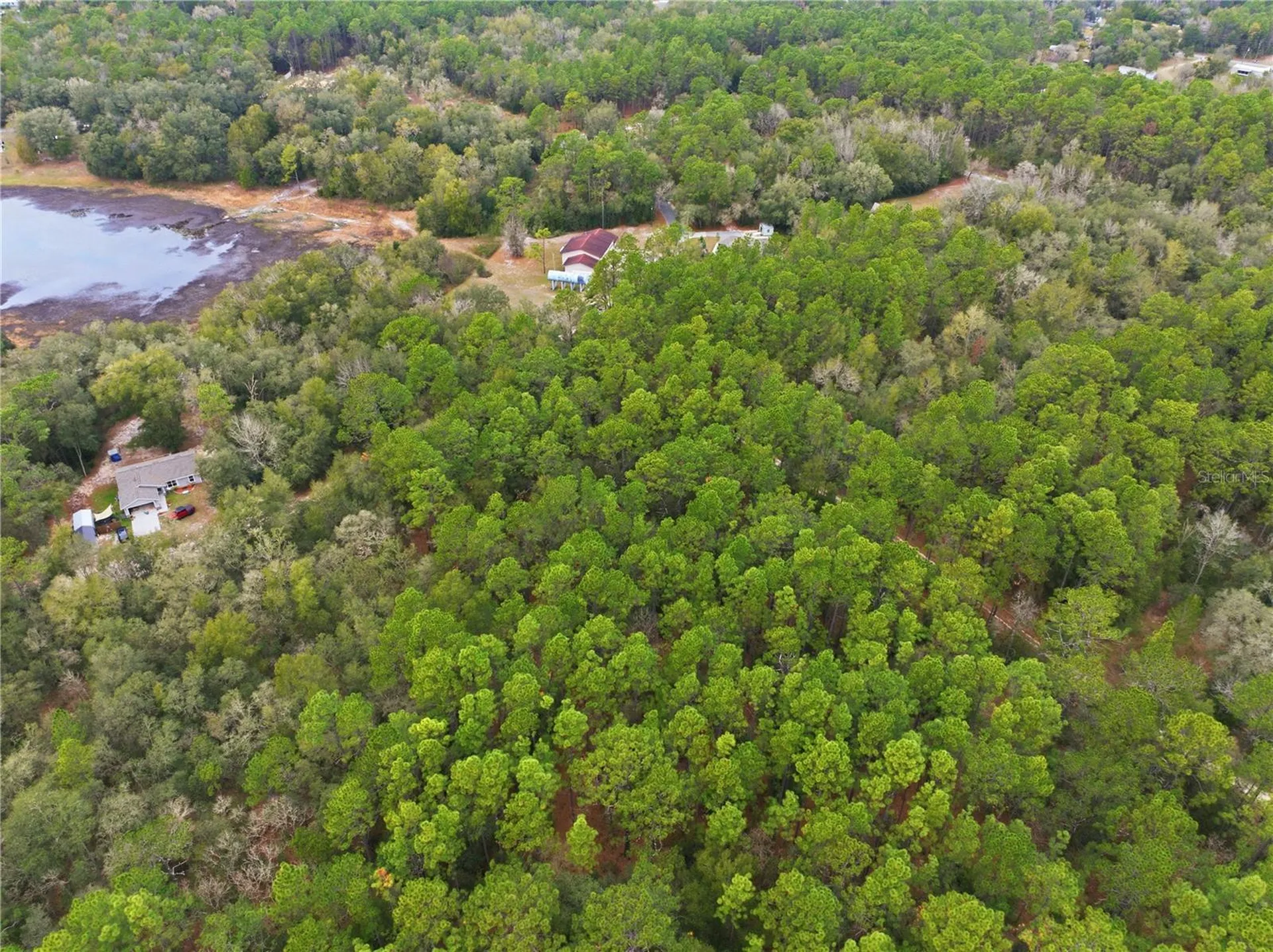 SW 36th Loop Dunnellon FL 34432
