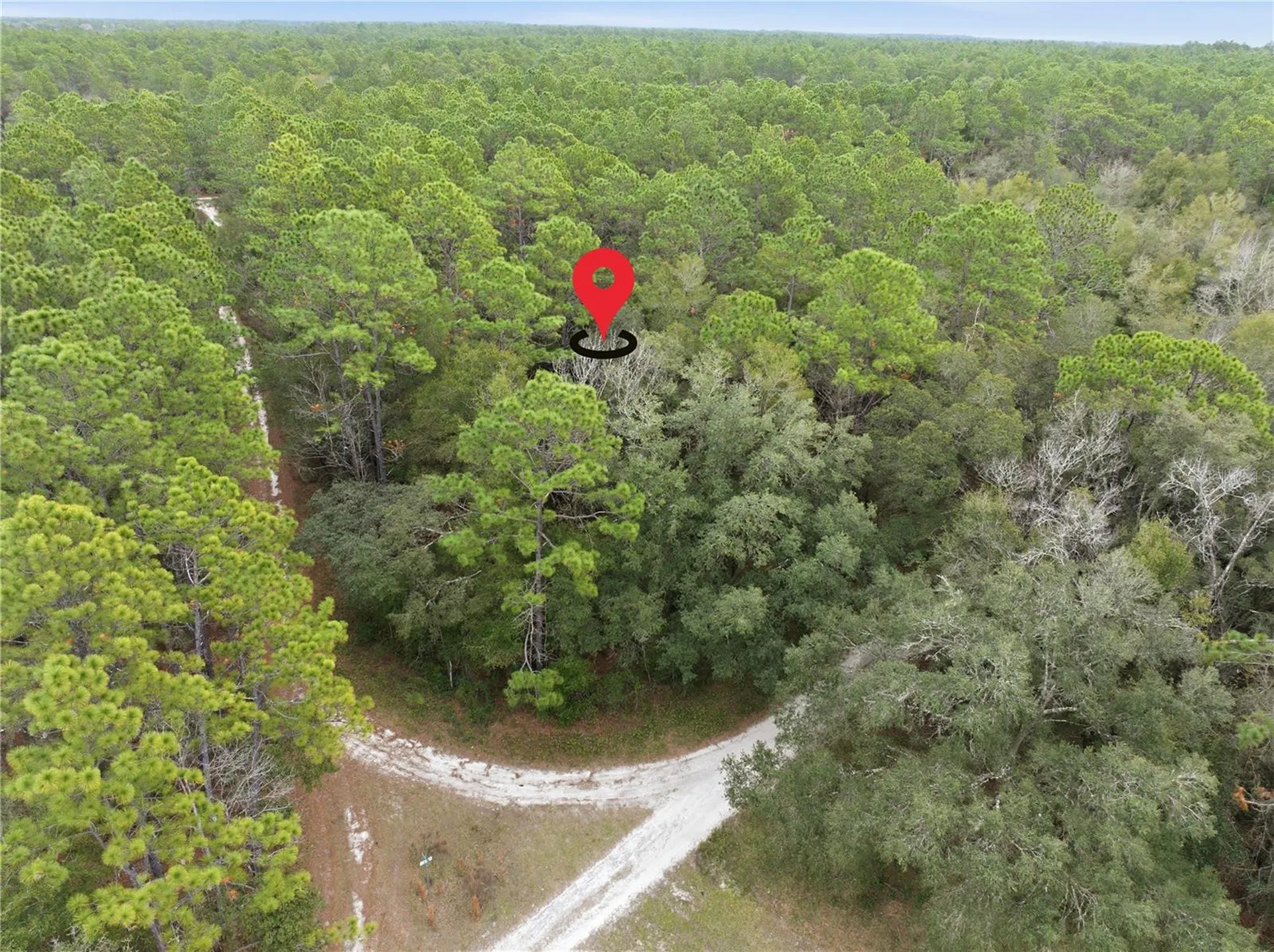 SW 36th Loop Dunnellon FL 34432