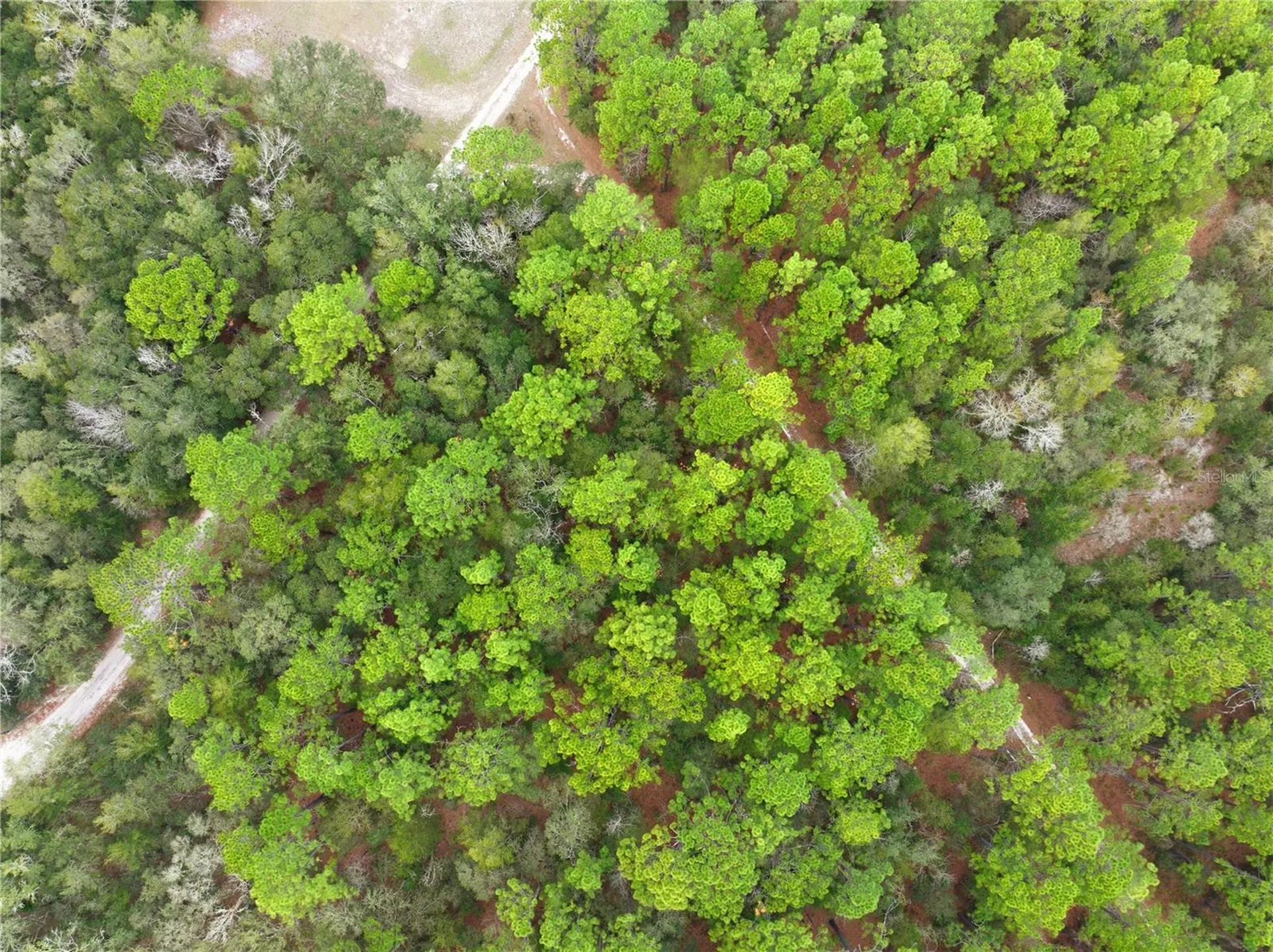 SW 36th Loop Dunnellon FL 34432