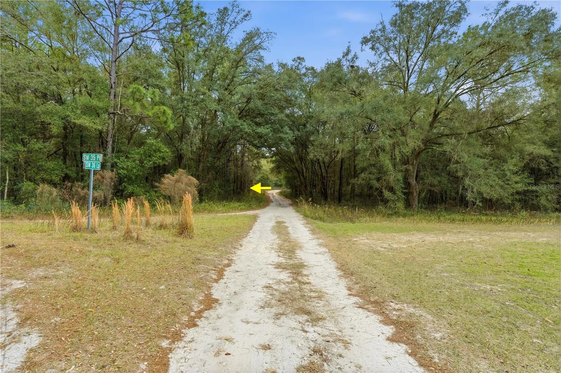 SW 36th Loop Dunnellon FL 34432