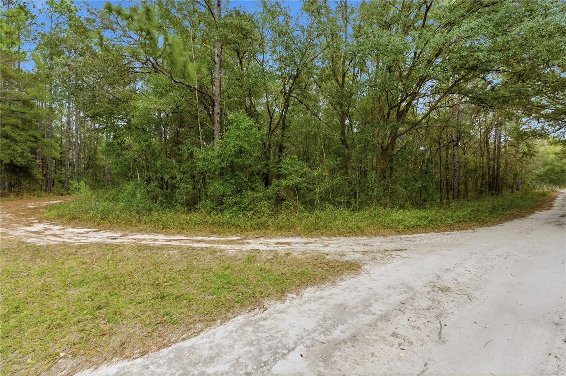 SW 36th Loop Dunnellon FL 34432
