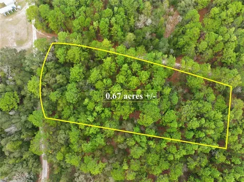 SW 36th Loop Dunnellon FL 34432