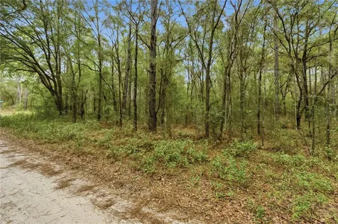 SW 36th Loop Dunnellon FL 34432
