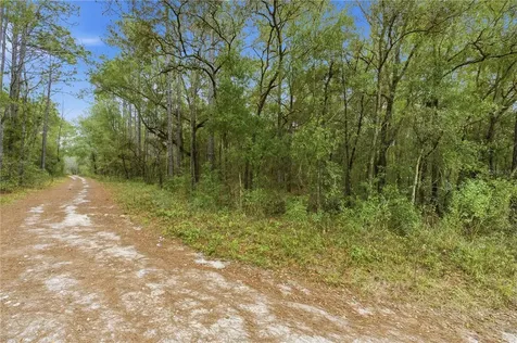 SW 36th Loop Dunnellon FL 34432