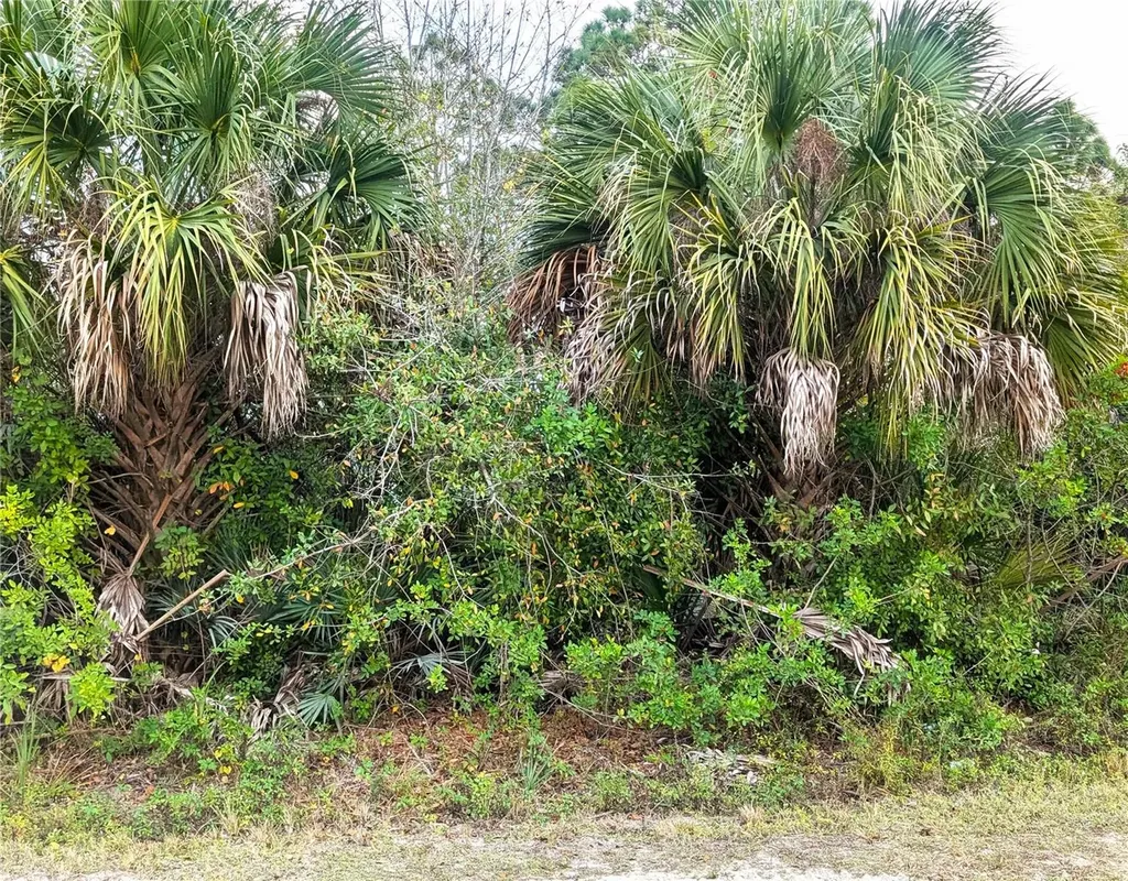12885 86th Street Fellsmere FL 32948