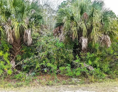 12885 86th Street Fellsmere FL 32948