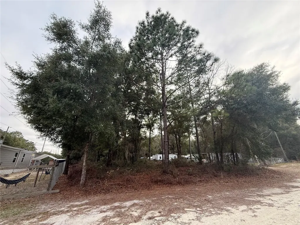SE 147 Place Summerfield FL 34491