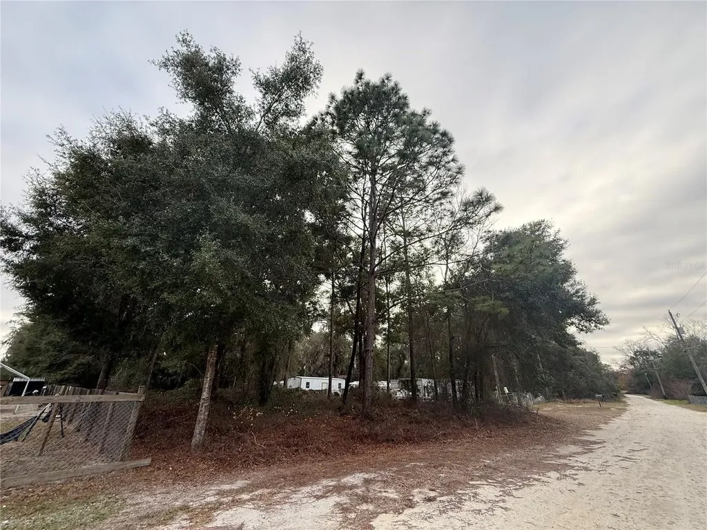 SE 147 Place Summerfield FL 34491