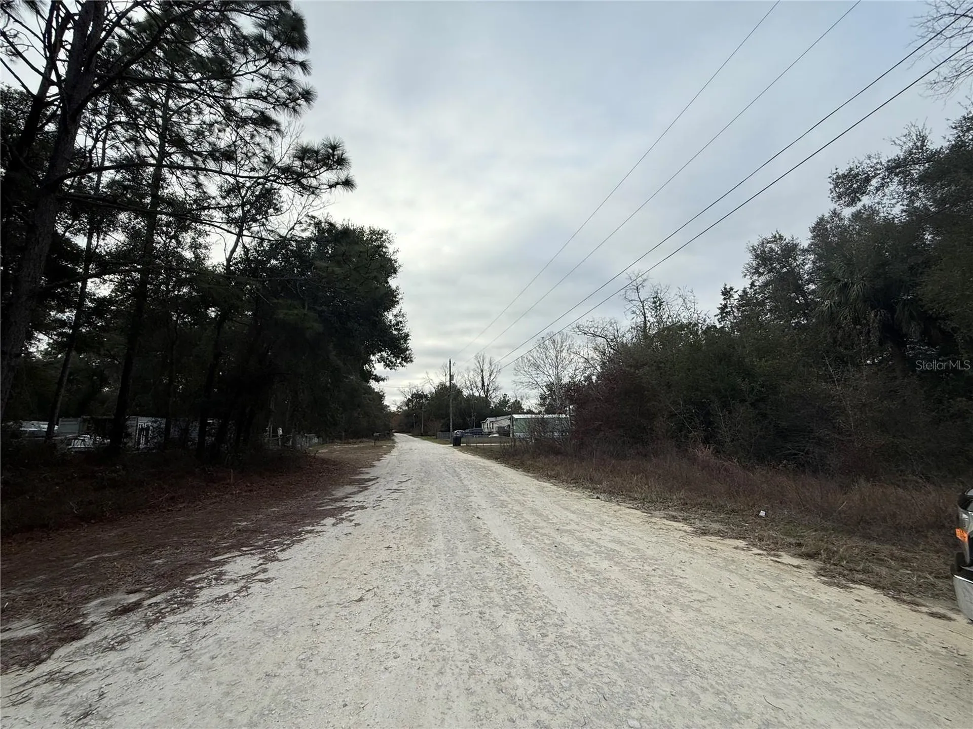 SE 147 Place Summerfield FL 34491