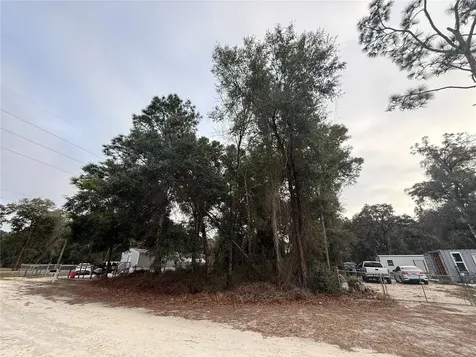 SE 147 Place Summerfield FL 34491