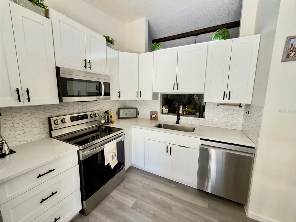 1333 Shady Pine Way Tarpon Springs FL 34688